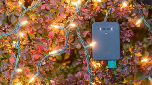 Wyze Outdoor WiFi Smart Plug with Dual Outlets, Energy Monitoring, IP64, 2.4GHz, Works with Alexa and Google Assistant - Black SHOP ONLINE