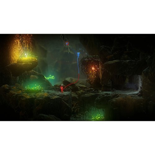 Electronic Arts Unravel Two - Nintendo Switch HOW TO BUY