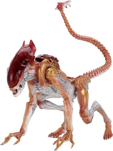 

NECA - Aliens 7" Scale Action Figure - Ultimate Kenner Tribute Panther Alien