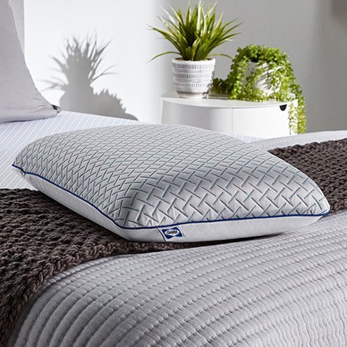 

Sealy - Essentials Cool Touch Memory Foam Pillow
