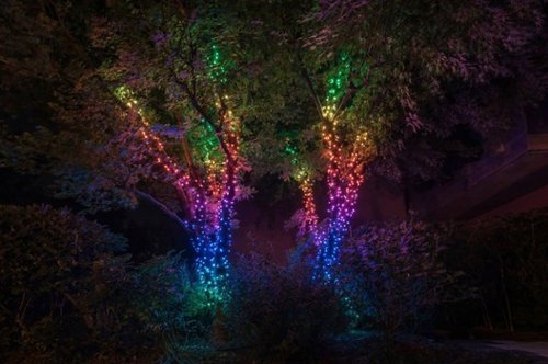 Twinkly Smart Light 400 RGB LED Light String and 60 Dots (Gen 2) - Multi BUY IN CANADA