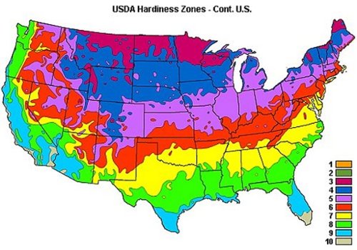 Punch! Software - Landscape, Deck & Patio Design - Windows-Alt_View_Standard_21 