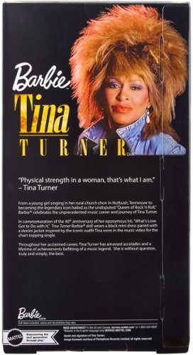 Barbie Tina Turner 11.5 Collector Doll BUY IN EUROPE