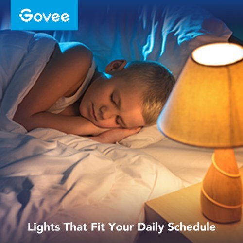 Govee 24.6' RGBIC Strip Light with Smart LED Bulb - Multi BUY IN EUROPE