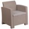 Alamont Home - Seneca Patio Lounge Chair - Light Gray-Front_Standard