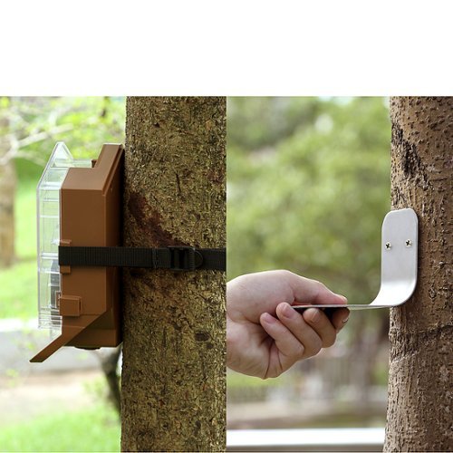 Wasserstein Bird Feeder Camera Case Compatible with Blink, Wyze, and Ring Cam (Camera NOT Included) - Clear GLOBAL SHIPPING
