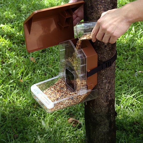 Wasserstein Bird Feeder Camera Case Compatible with Blink, Wyze, and Ring Cam (Camera NOT Included) - Clear HOW TO BUY