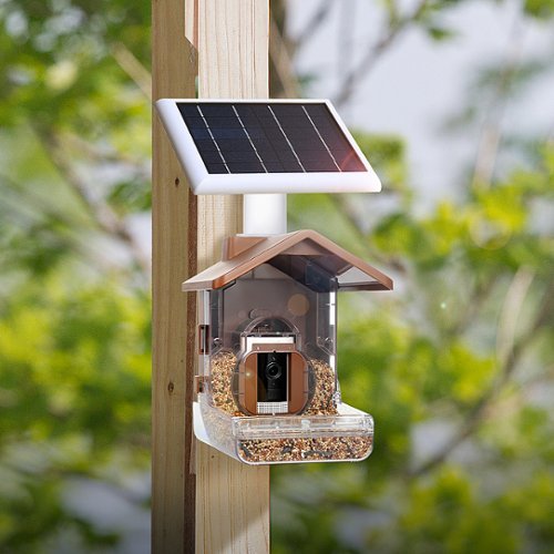 Wasserstein Bird Feeder Camera Case Compatible with Blink, Wyze, and Ring Cam (Camera NOT Included) - Clear SHOP ONLINE