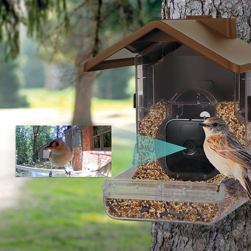 Wasserstein Bird Feeder Camera Case Compatible with Blink, Wyze, and Ring Cam (Camera NOT Included) - Clear BUY ONLINE
