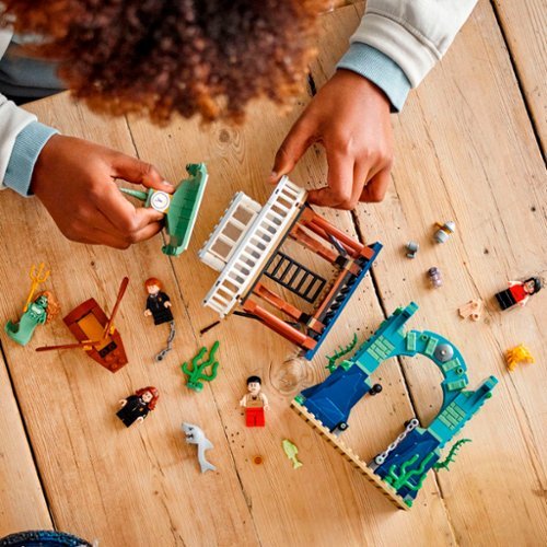 LEGO Harry Potter Triwizard Tournament: The Black Lake 76420 GLOBAL SHIPPING