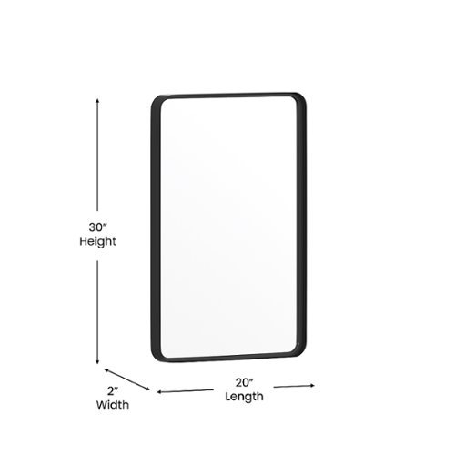 Alamont Home Janinne 20 x 30 Wall Mounted Mirror - Black HOW TO BUY