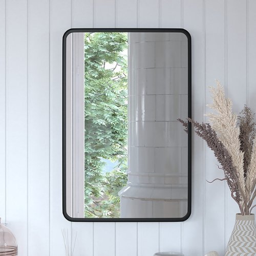 Alamont Home Janinne 20 x 30 Wall Mounted Mirror - Black SHOP ONLINE