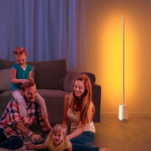 Govee RGBIC Floor Lamp - Multi WHERE TO BUY