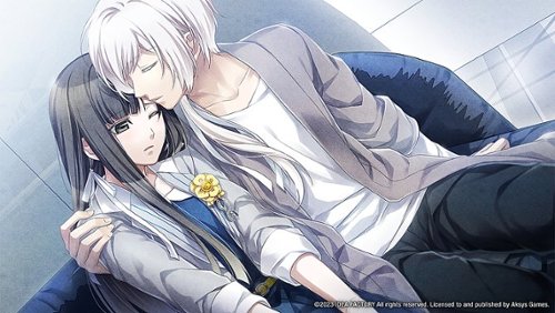Aksys Games Norn9: Last Era Standard Edition - Nintendo Switch HOW TO BUY