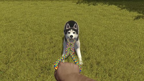 Maximum Games House Flipper Pets Edition - Nintendo Switch HOW TO BUY