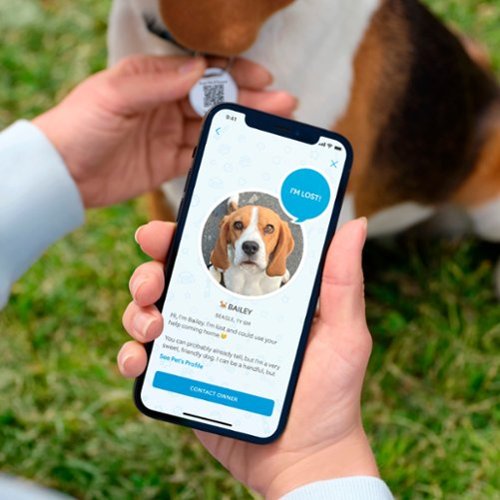 Ring Pet Tag - Silver WORLDWIDE DELIVERY