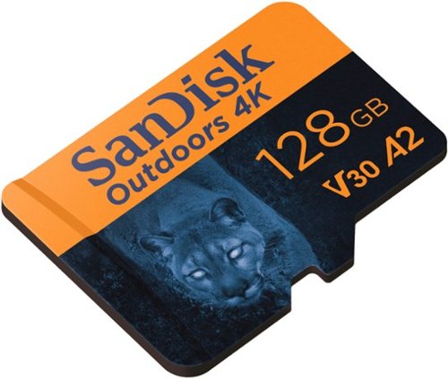 SanDisk Outdoors 4K 128GB microSDXC UHS-I Memory Card with SD Adapter WORLDWIDE DELIVERY
