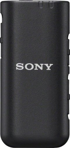 Sony  ECMW3 Dual-channel Wireless Omnidirectional Microphone WORLDWIDE DELIVERY