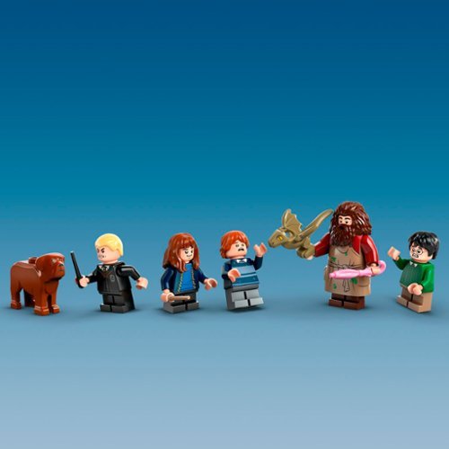 LEGO Harry Potter Hagrid’s Hut: An Unexpected Visit House Toy 76428 GLOBAL SHIPPING