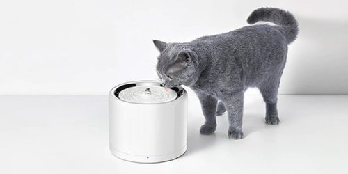 Petkit Eversweet 3 Pro Bluetooth Stainless Water Fountain with Wireless Pump+UVC, Ultra Quiet for Cats and Dogs - White HOW TO BUY