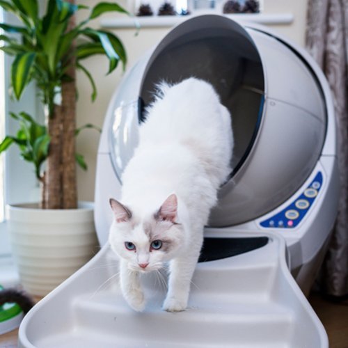 Whisker Litter-Robot 3 Ramp - Beige WORLDWIDE DELIVERY