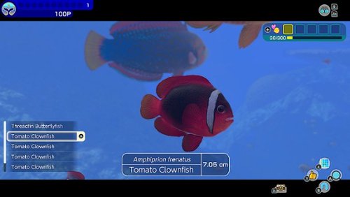 Nintendo Endless Ocean Luminous - Nintendo Switch – OLED Model, Nintendo Switch, Nintendo Switch Lite HOW TO BUY