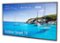 55" Neptune Full Sun Outdoor Smart TV - Comes with FREE Outdoor Tilting Wall Mount (2024)-Front_Standard