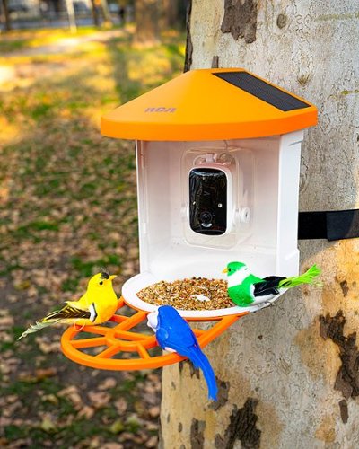 RCA Smart Bird Feeder - White/Orange HOW TO BUY