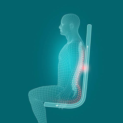 Homedics Full-Body Flex Massage Cushion - Gray WORLDWIDE DELIVERY