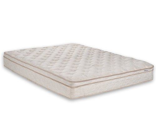 Cicely Sleep - Cicely 10.5-inch Euro Top Foam Hybrid Mattress in a Box-Queen - White