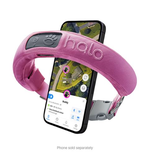 HALO Halo Collar 3 GPS Dog Fence, neck size 15- 30.5 - Orchid INTERNATIONAL SHIPPING