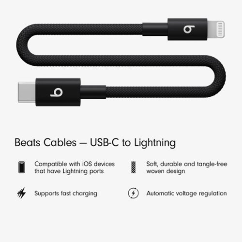 Beats 8 USB-C to Lightning Woven Short Cable - Bolt Black WORLDWIDE DELIVERY