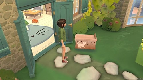 Maximum Games Cat Rescue Story - Nintendo Switch GLOBAL SHIPPING