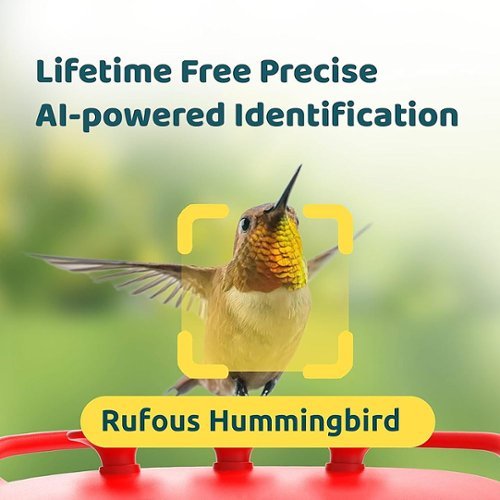 BIRDFY Hummingbird Feeder for Outdoors Hanging Ant Proof, with Dual Cameras, Solar Power & AI Enabled Bird Recognition - Red and White HOW TO BUY