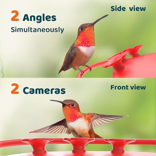 BIRDFY Hummingbird Feeder for Outdoors Hanging Ant Proof, with Dual Cameras, Solar Power & AI Enabled Bird Recognition - Red and White BUY ONLINE