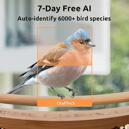 BIRDFY Smart Wild Bird Feeder with Camera for Outdoor , AI Enabled Bird Recognition & Solar Power - Natural Bamboo & Black WHERE TO BUY