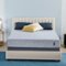 Serta - Sheepless Nights 9" Medium Foam Mattress -Queen - Blue-Front_Standard