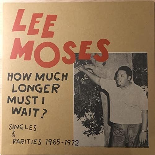 

How Much Longer Must I Wait: Singles & Rarities 1965-1972 [LP] - VINYL