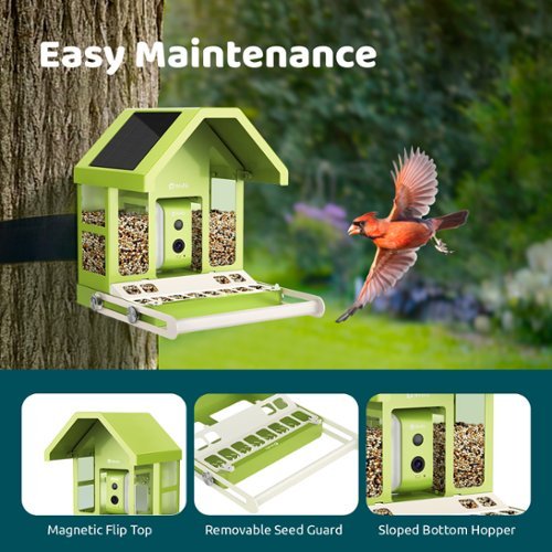 BIRDFY Birdfy Smart Bird Feeder with Camera, Durable Metal Bird Feeders for Outdoors, AI Identify Bird Species - Green SHOP ONLINE