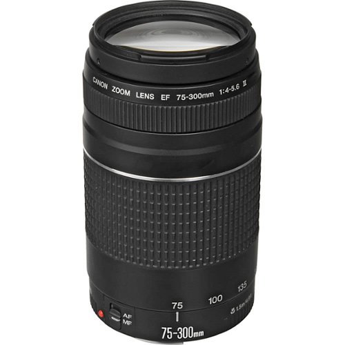 付属品付き Canon EF 50mm F1.8 II /EF 75-300mm Canon EF 75 300mm f/4 5.6 III Lens (Black) + Telephoto and Wide