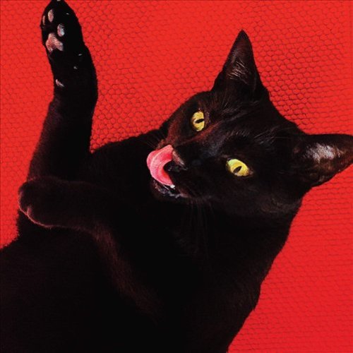  Big Colors [LP] - VINYL INTERNATIONAL SHIPPING