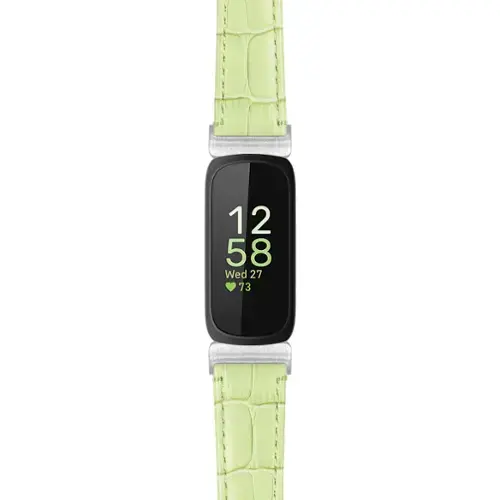 Light Green (Silver Hardware)