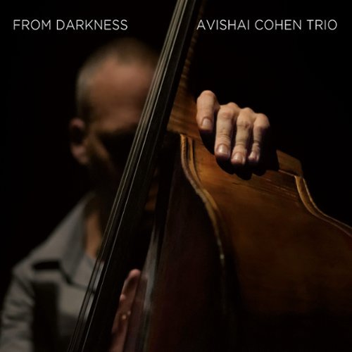 

From Darkness [LP] - VINYL