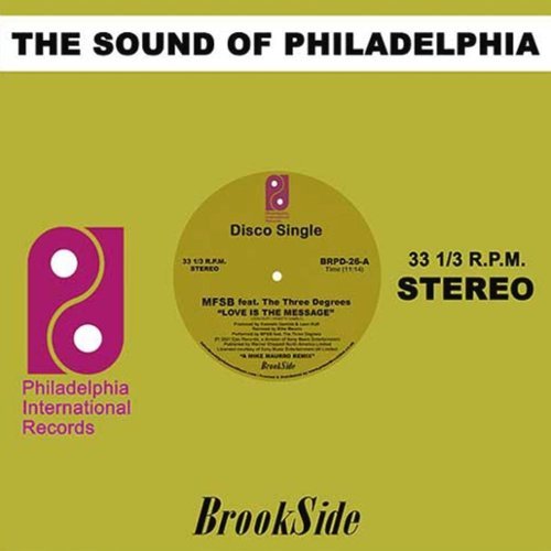 I Love Music [Mike Maurro Remix] [12 inch Vinyl Single]