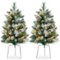 Best Choice Products - Set of 2 24.5in Outdoor Scotch Pine Pathway Christmas Trees Decor w/ LED Lights, Pine Cones - Frosted-Front_Standard