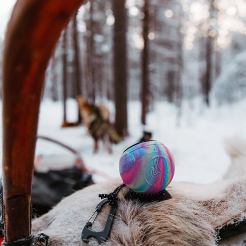 Speaqua Carabiner Clip - Grey HOW TO BUY