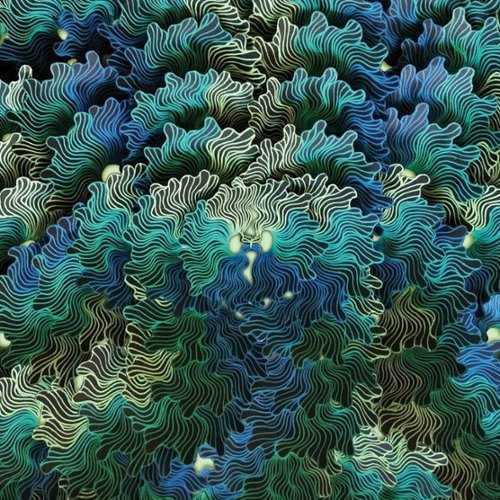 

Ngo Ma [LP] - VINYL