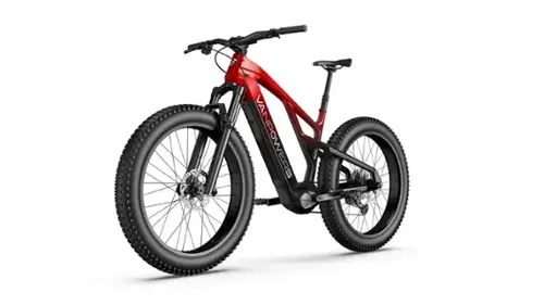 Lava Red and Coke Black