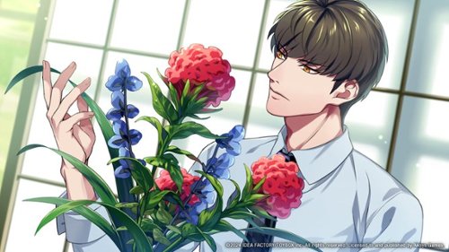 Aksys Games 7’scarlet - Nintendo Switch BUY IN EUROPE