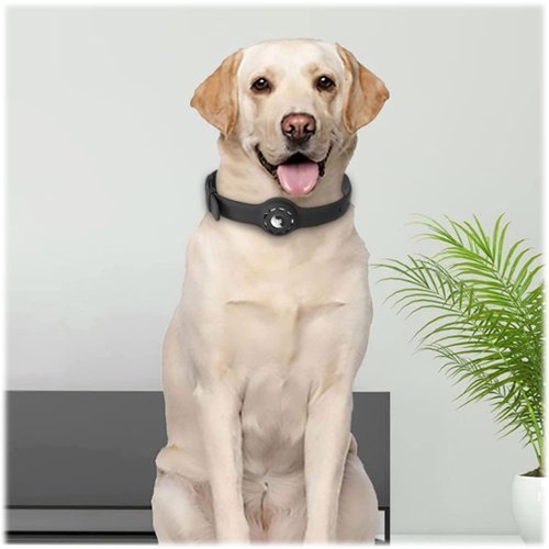 SaharaCase Silicone Dog Standard Collar with Apple AirTag slot - 16-in to 26-in Neck - Black SHOP ONLINE